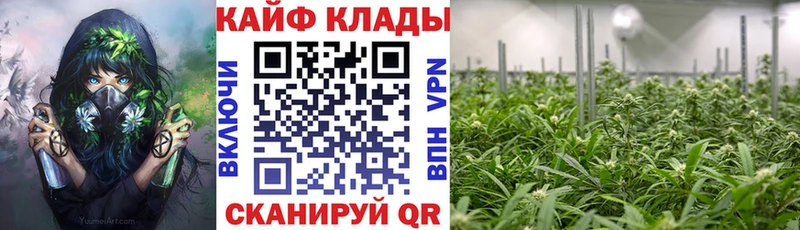 Купить Туран ГАШИШ  Кокаин  МЕФ  кракен сайт  Каннабис 
