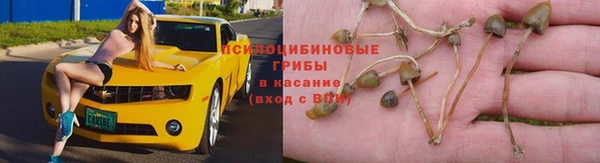 apvp Горно-Алтайск