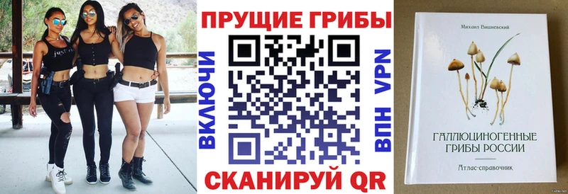 Псилоцибиновые грибы ЛСД  где продают   Туран 